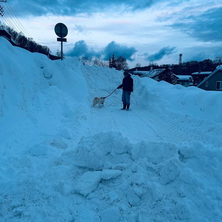 6086d525 a516 414a 880a 362dd7fad1cc 1769898555745