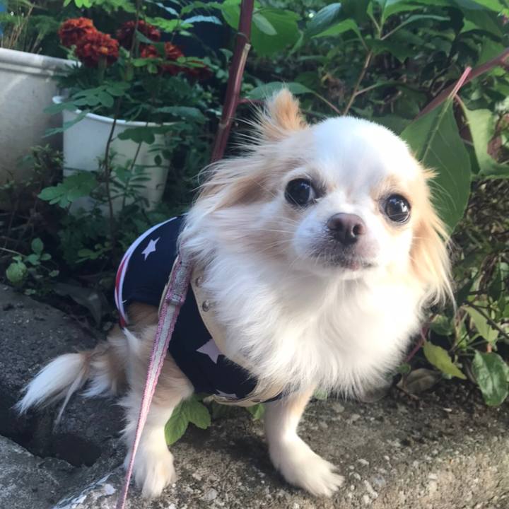 6086e1a3 0022 47a3 8831 4eedc31dbb24 1604753818452