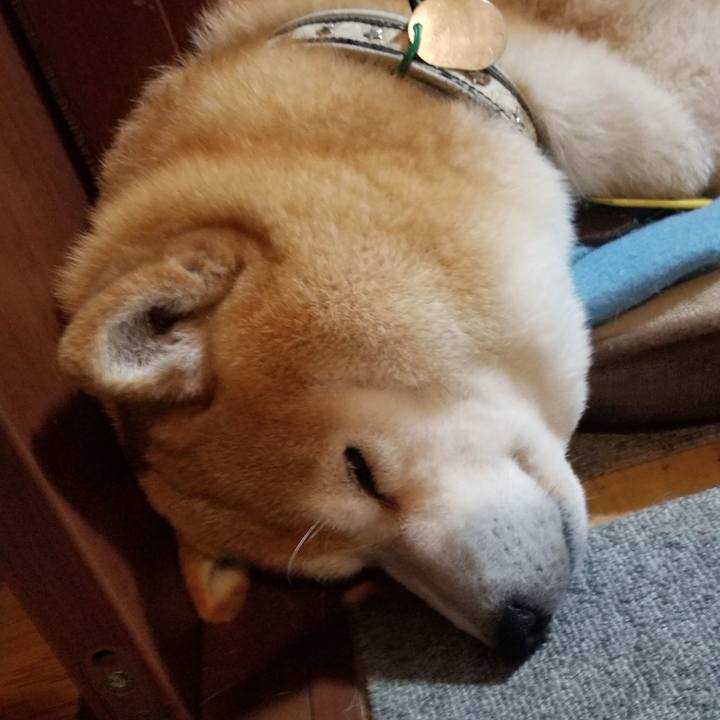 6086ffdd 20f3 46e4 864b 410d0c0b67c8 1621509908488