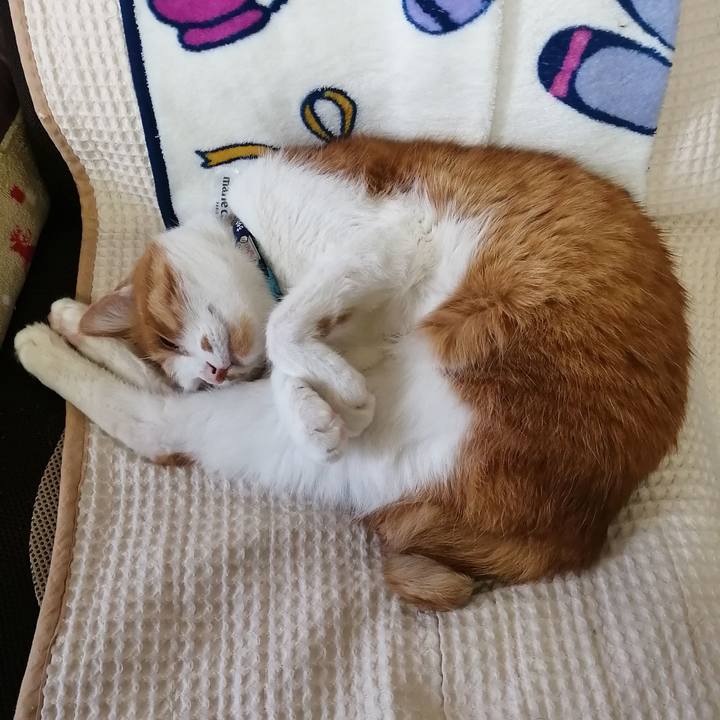 6087001a 960d 4bd6 a36f bdc002afc059 1653263070439