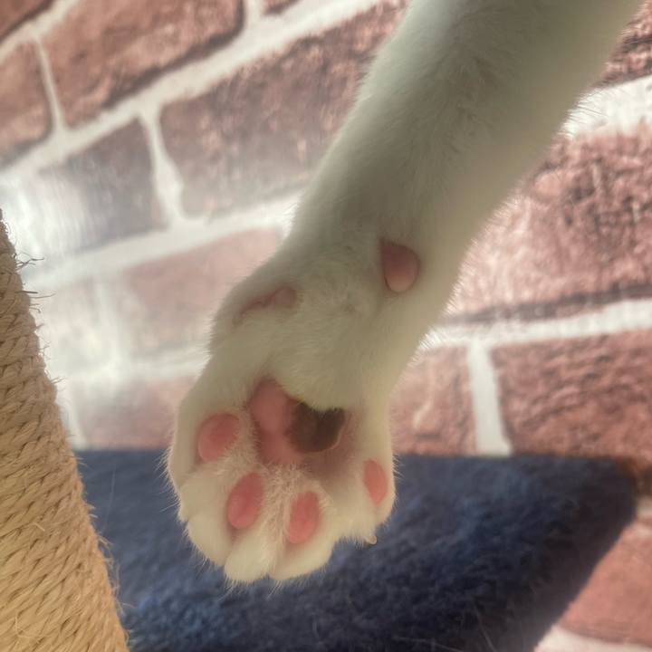 6087087e 8f75 4da8 b958 affebae093b6 1700869013109