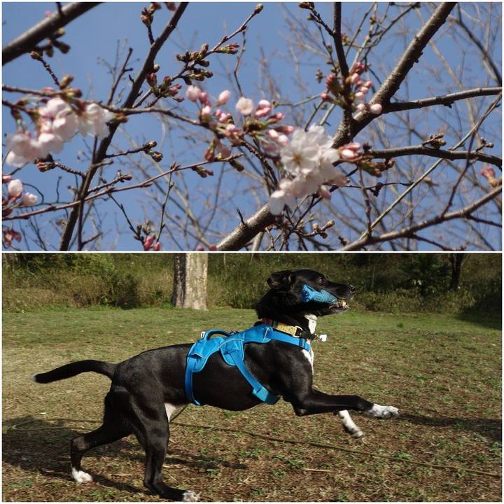 60873ac1 c074 47ab b5c3 a747ae0c1ce5 1615854728310