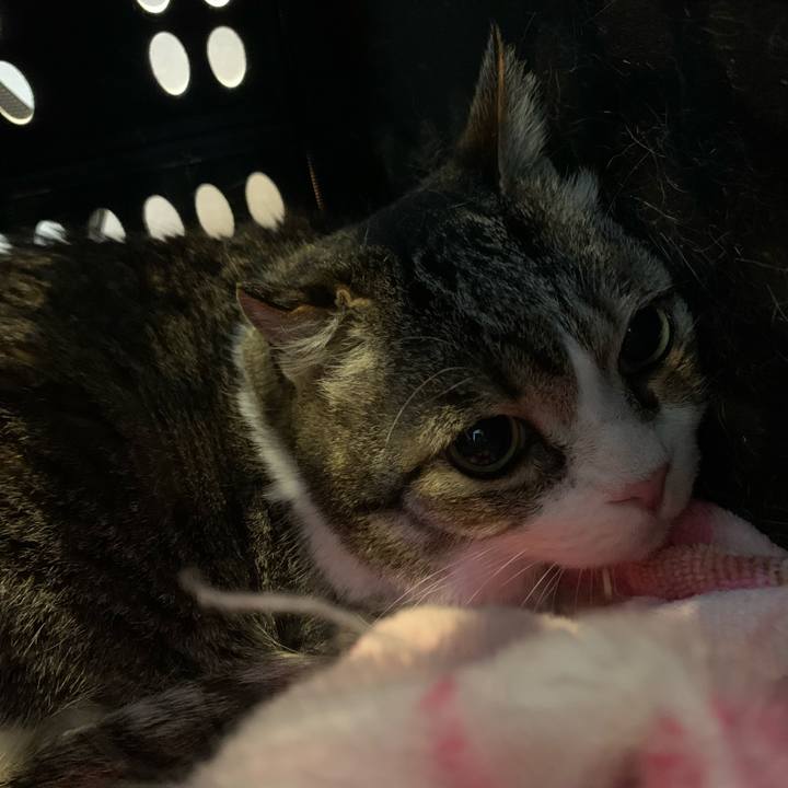 60877517 682a 4ea7 a8d3 0f1381eb6185 1747188894205