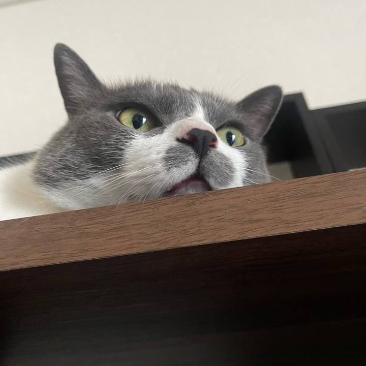 6087d7ec 7f65 4bc6 bc32 0fd35c065e63 1686993708421