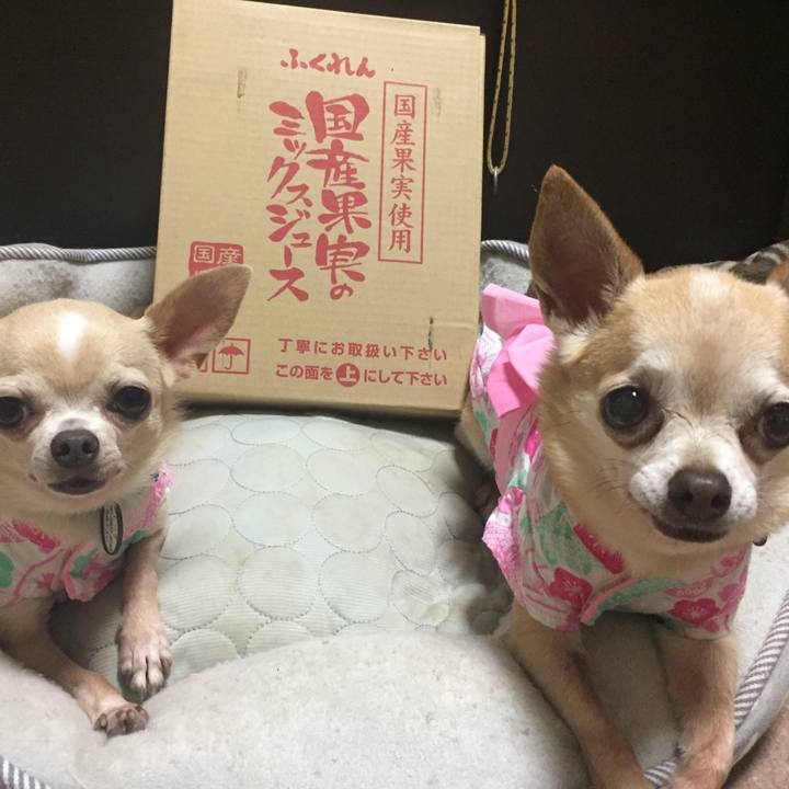 6087ed96 ac11 4db5 8c35 25df86afb65e 1532780561284