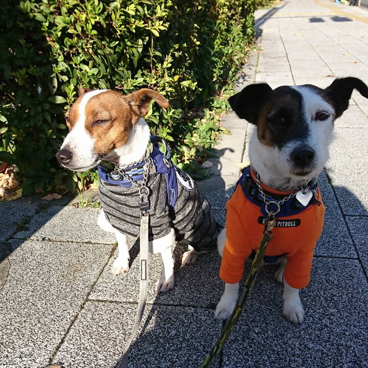 6087f227 32b5 46cc aba5 d01f5e15c82b 1607905518090