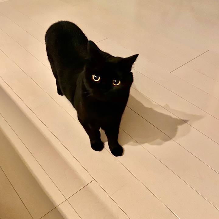 6087f6a8 5b66 493a a937 ca85479d2587 1598704196894