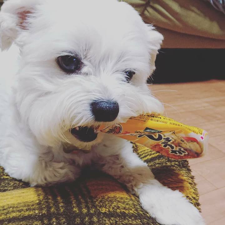 60880437 a84f 4e7a 9aa2 193c0c9a0480 1571655676780