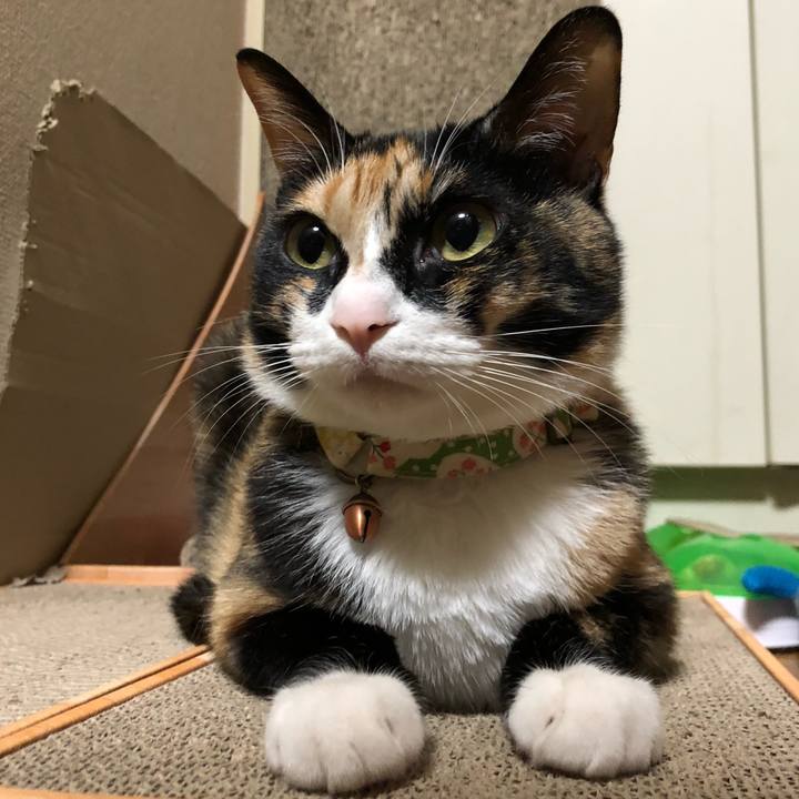 60883438 8a3c 4276 b9d0 a90456b7463e 1626826162937