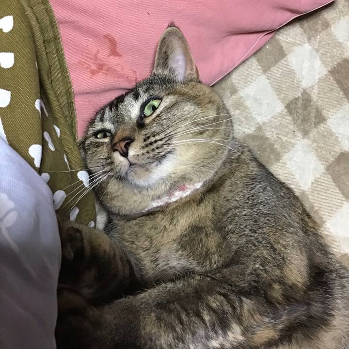 60883bcb afe6 4f8f 9152 ea12b599372e 1674732712701