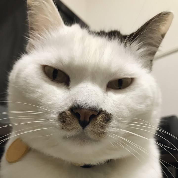 6088925a e1e2 4038 b725 6d0704489d99 1546051490782