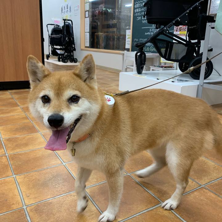 6088acde 393b 43c9 9d4c 74205de2d97e 1564650236567