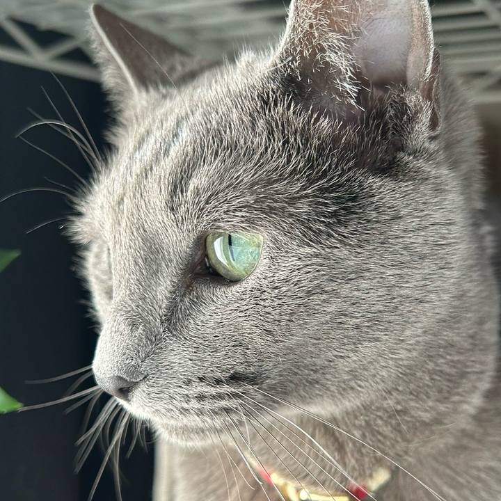 6088c950 160d 461d b123 3a02ddc2dd7c 1739170077892