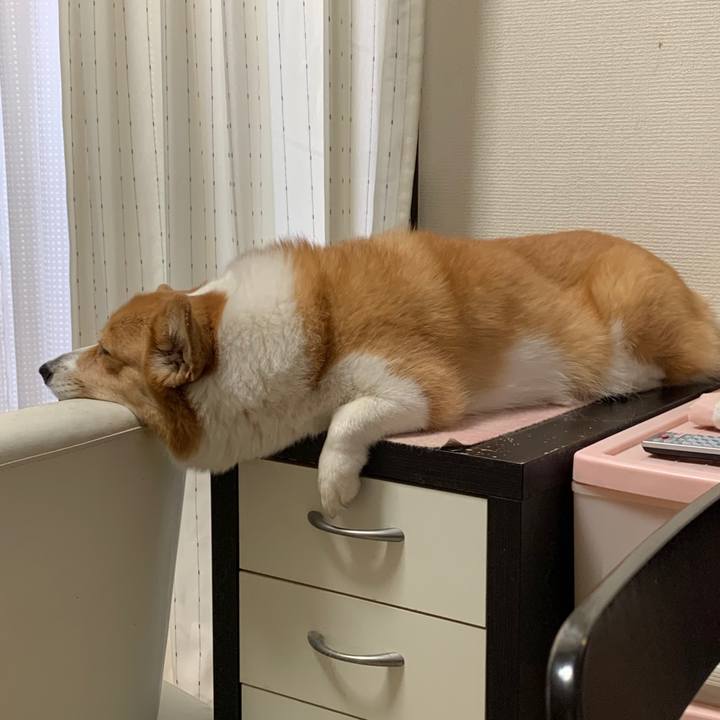 6088e4be 642d 4df7 88eb 220b48059339 1607051023782