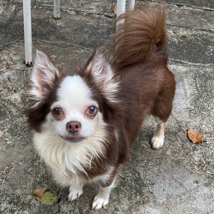 6088e664 6c8d 422c 8d67 a15895979776 1633600396827