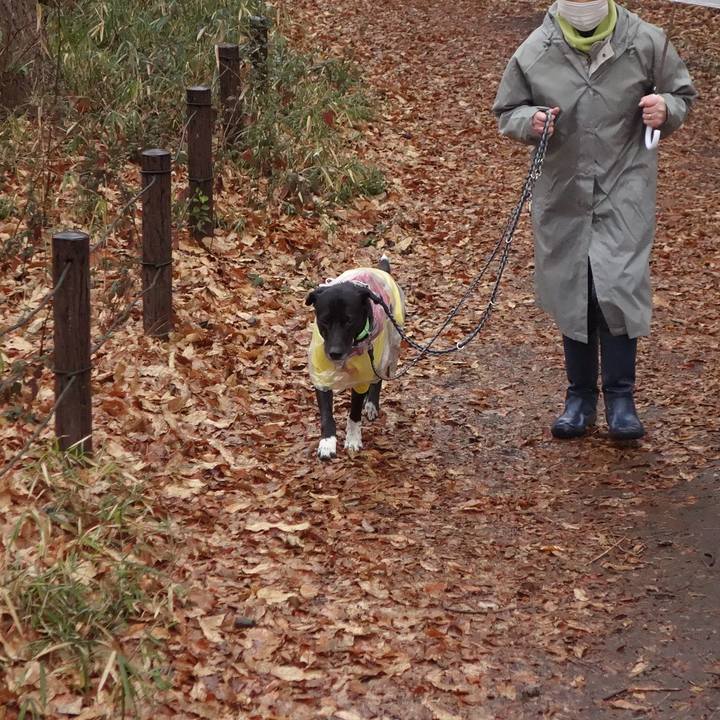 6088fe6c d7bd 417b b926 eb5f62dd254b 1612228663937