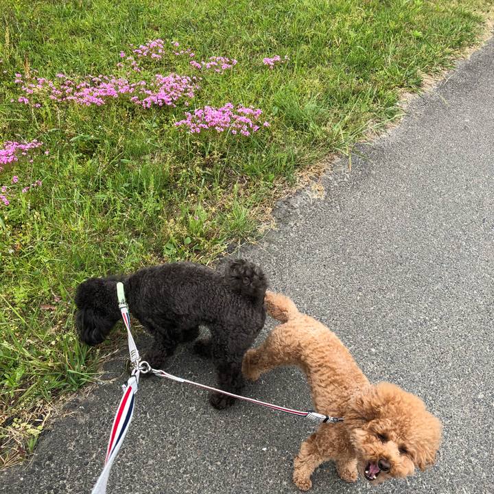 60892a31 77a3 4b6c ad87 0403625dc0cf 1589263797432