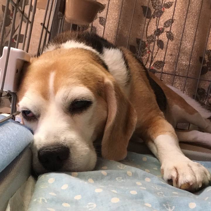 60894ea8 d1e7 4191 95fc 9163740f5fba 1535243612427