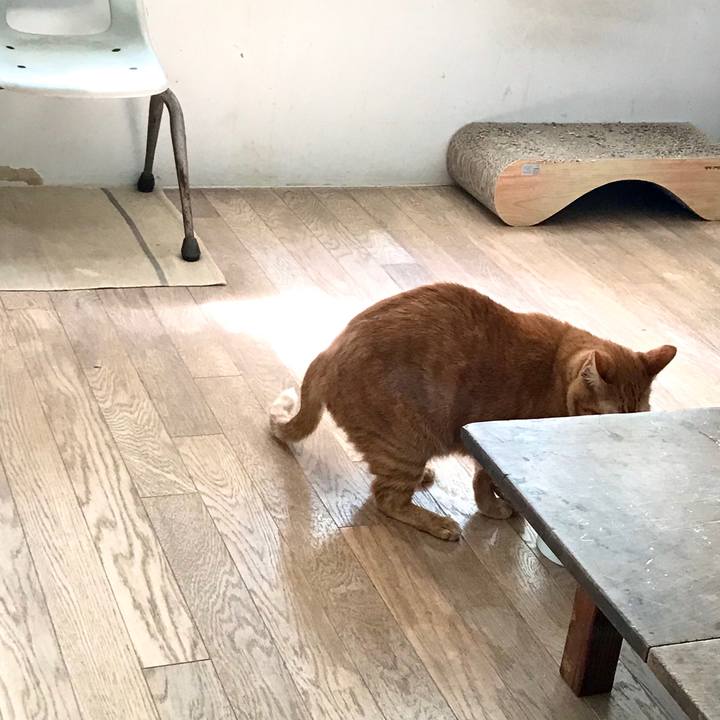 6089515f cb09 4ef1 9560 a01f76f84fe5 1599783073420