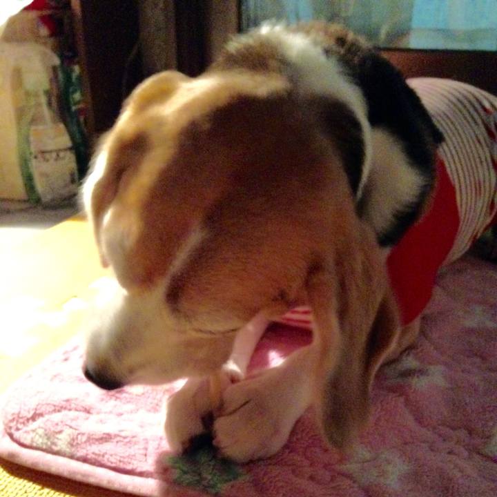 6089580a 3794 4bee 8de3 7790cb2096f6 1747883361023