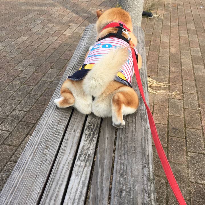 60896cb1 6f76 4bee 9f70 4f3bca79bfe6 1596844290804