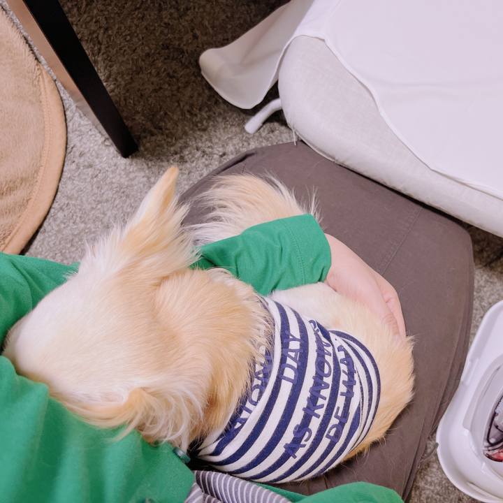 60897977 47cb 4180 9271 a4b1a163753e 1682330349080