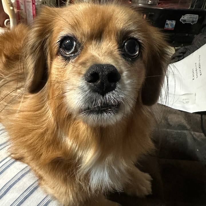 6089873c c851 44a7 a926 0b4fd814b9a4 1732569105768