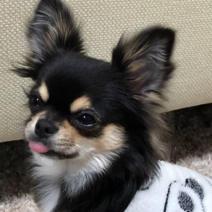 60898b1e a2f6 4c5b 9c7d 789e5a61ac5e 1549625303609