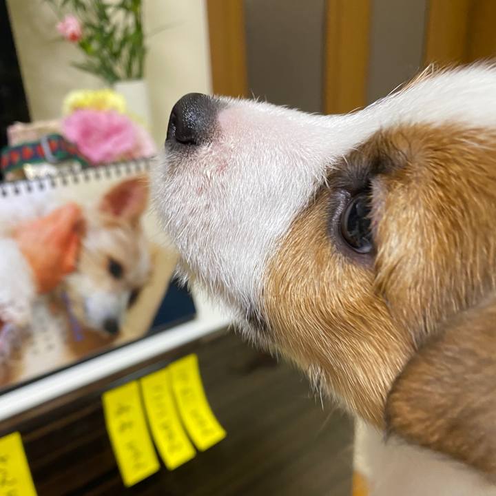 6089a8ec a002 4744 896d 91435d28f419 1763204271046