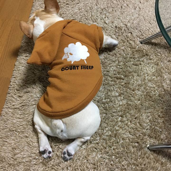 6089c728 3c64 4228 bf1a 6e3b2801c23f 1513161642603