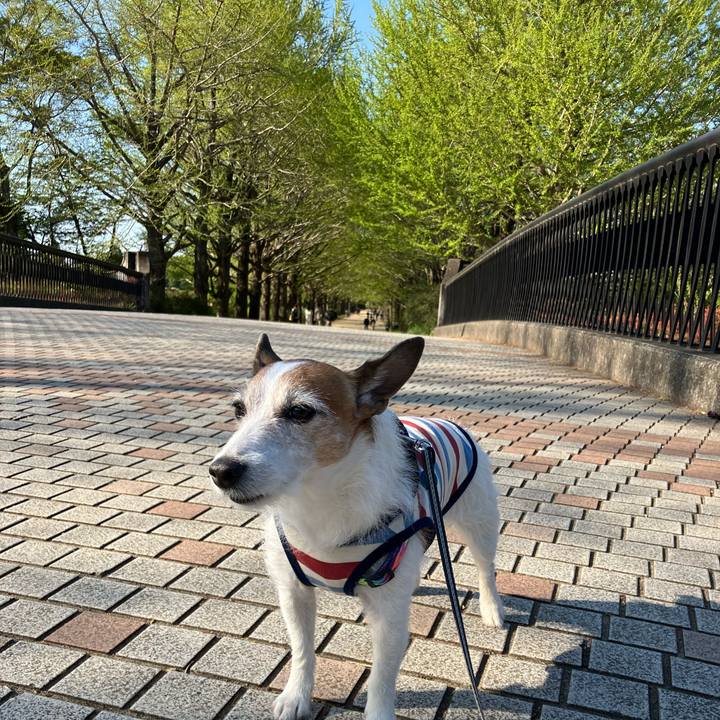 6089fd45 d7f7 4651 87df d3a6eac89df2 1681170434447