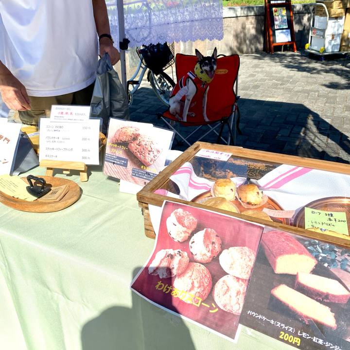 608a1e26 71a8 41f8 8fd7 557a759d3c48 1630139283079