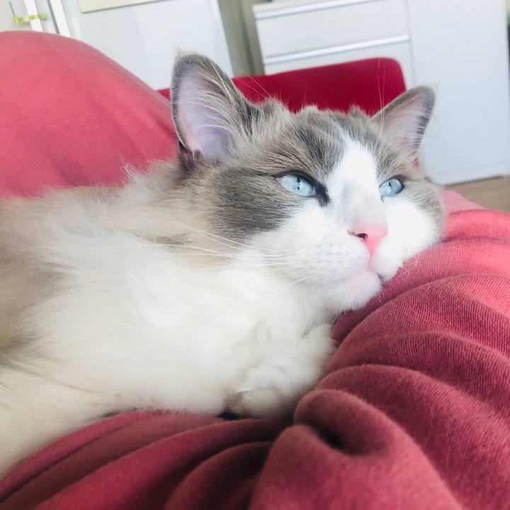 608a7726 48d7 47c8 8b90 30259f3e2ffb 1579760333997