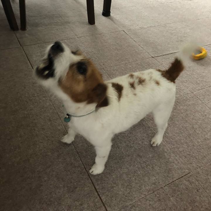 608a92f1 c39b 4242 8612 1be0b5e3b344 1562486061570