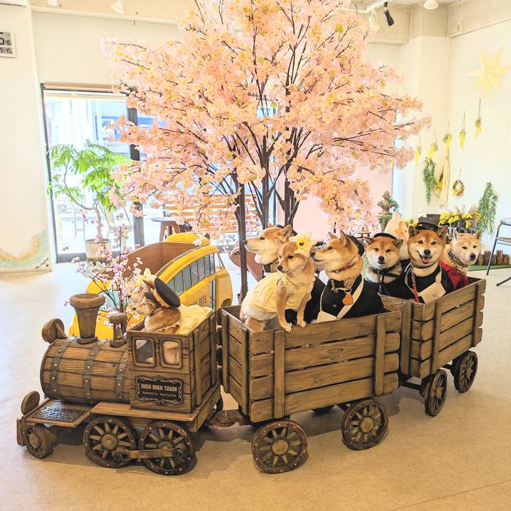 608abbec a832 422d bf5f 13dd4b43d0c1 1712920109358