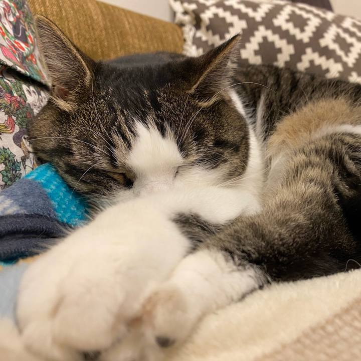 608ac473 1ece 41fc bd04 07e41e020ce2 1663847807856