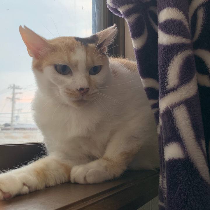 608b1c6f 9531 4489 b736 081ecbe45bc3 1568201686324