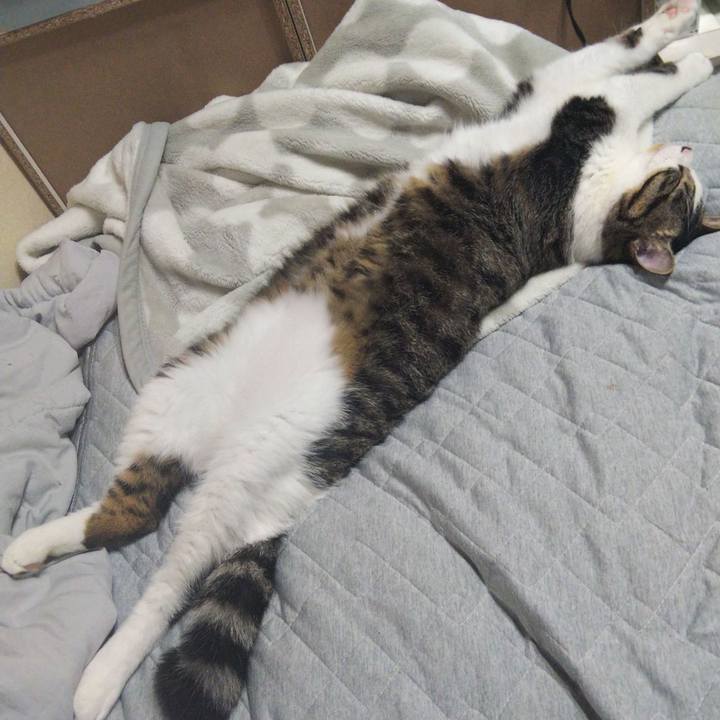 608b5047 3f18 48ee 8a41 c3e25290ed57 1631433632001