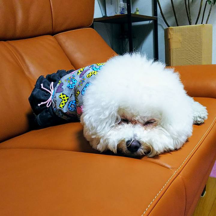 608b50c4 4043 460e afc2 a393c95e1483 1543469469511