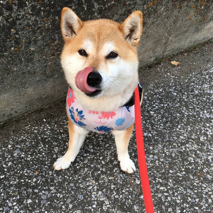 608b61ae c207 4a1f 953d 08f8739fc8f2 1589449631152