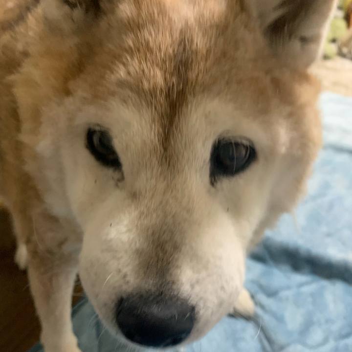 608baa15 ecb0 459b a1fb d0ca7d471970 1673099770654