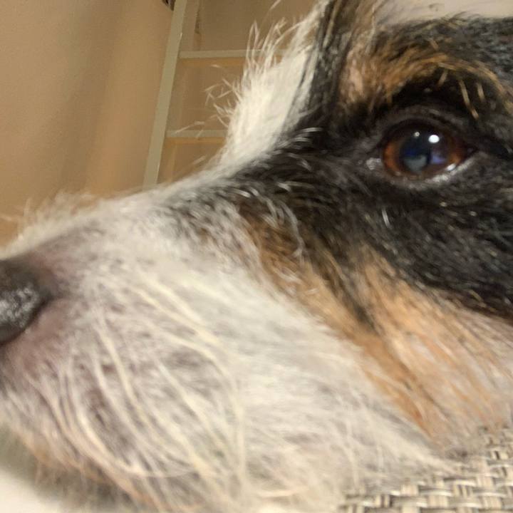 608bce98 892b 4ef3 89a0 298201aa8e84 1603103257680