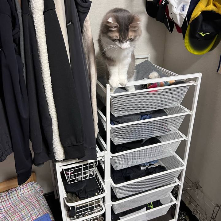 608c2340 d97f 48ed 87e3 dc6e9300ea0b 1769255083745