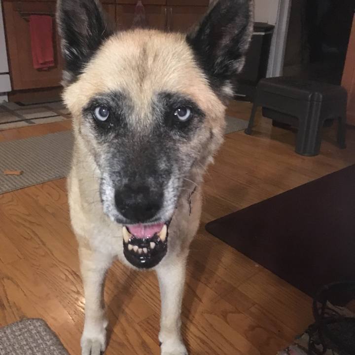 608c526c 09c1 4ee3 997c 704fee583a7a 1566442827665