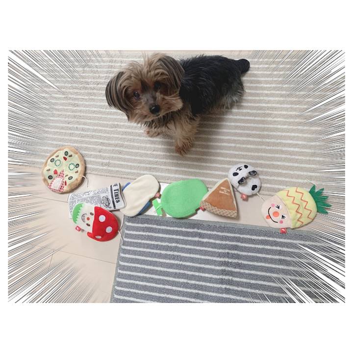 608c72d0 5a2d 49d0 bdb4 d8db126c419c 1613082712713