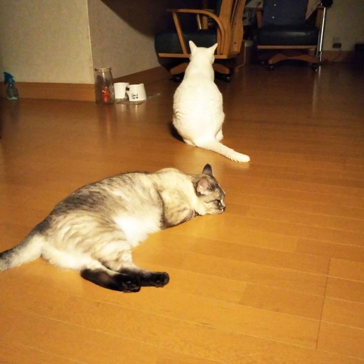 608c72db 5d6f 4982 a676 50eda9022085 1563456580207