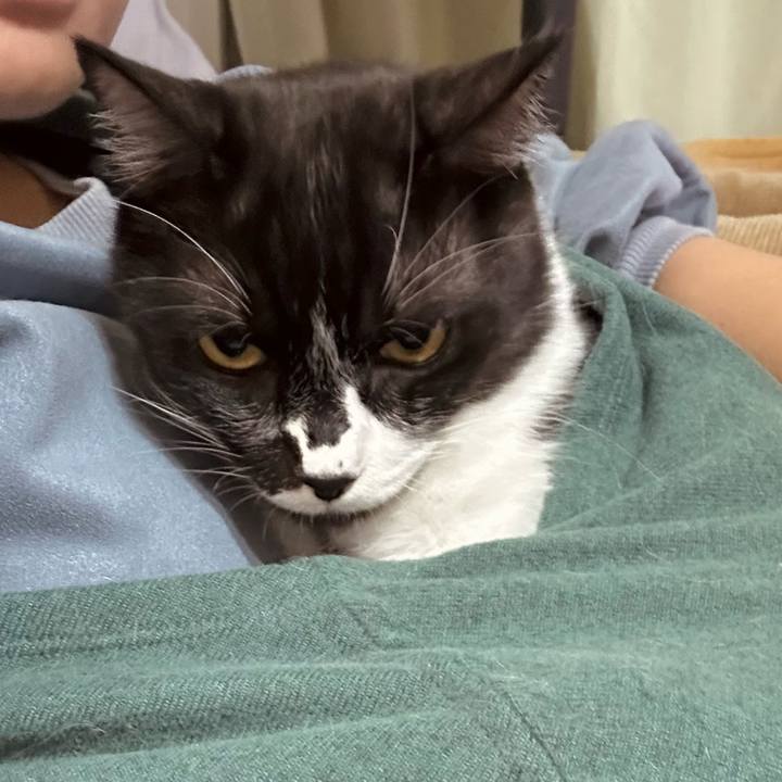 608c740b 858d 4c88 a4bf ff776f2458f7 1763644346378