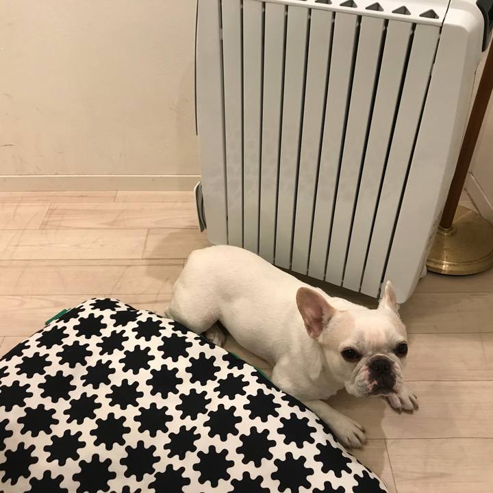 608c8589 8bb5 47f0 8608 6343429441c9 1511962438411