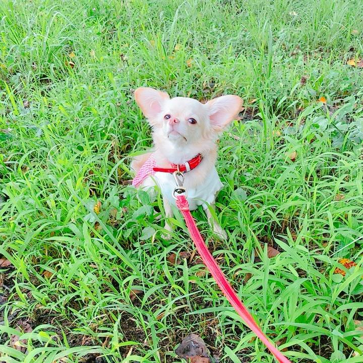 608c8b54 74fb 48fa b048 88d038892586 1630925136960