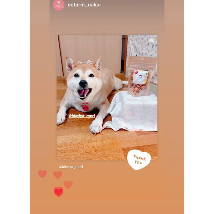 608c9b59 f63d 485d a632 9d28abfc0e35 1723677145098